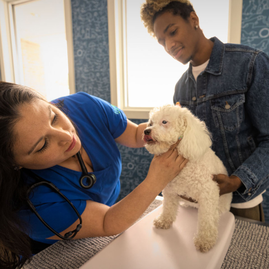 Hometown Veterinary Hospital | Thrive Pet Healthcare